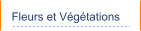 Fleurs et Végétations