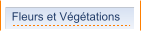 Fleurs et Végétations